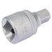 Elora-Socket-Converter,-3/4"(F)-x-1/2"(M)
