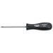 Draper-TX-STARÂ®-Security-Screwdriver,-T25T-x-100mm
