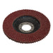 Aluminium-Oxide-Flap-Disc,-115-x-22.23mm,-60-Grit
