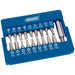 Screwdriver-and-Magnetic-Bit-Holder-Set-(19-Piece)