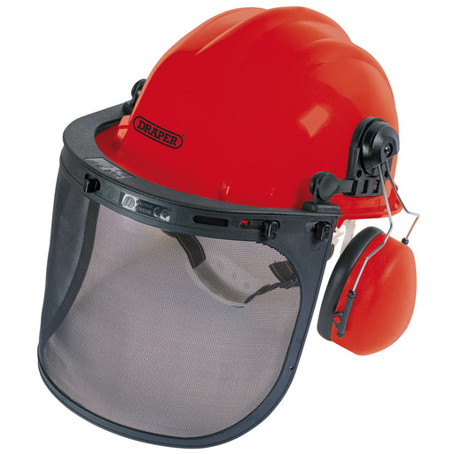 Forestry-Helmet