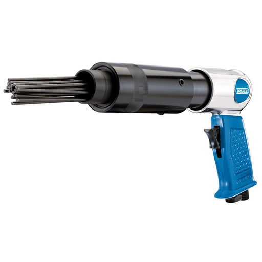 Needle-Scaler
