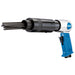 Needle-Scaler